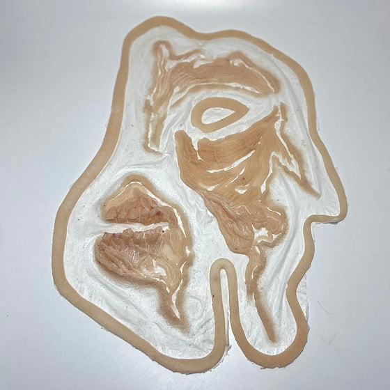 The Ripped Face