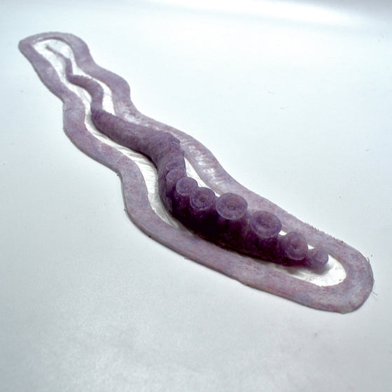 The Tentacle