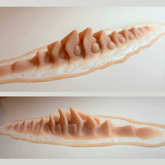 The Alien Spine
