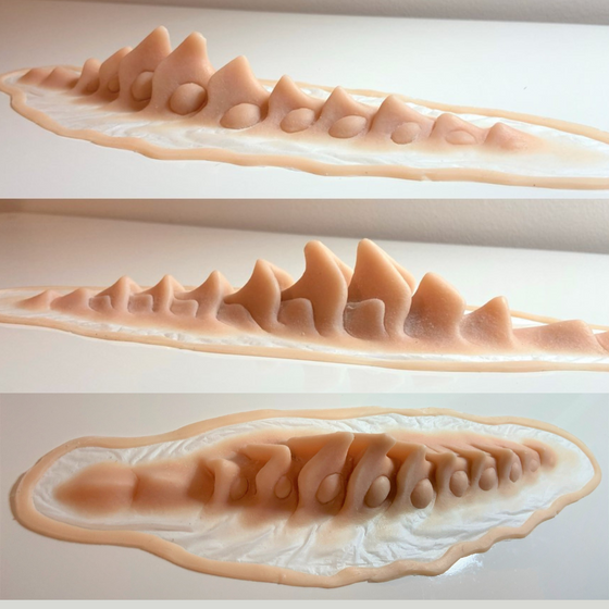 The Alien Spine