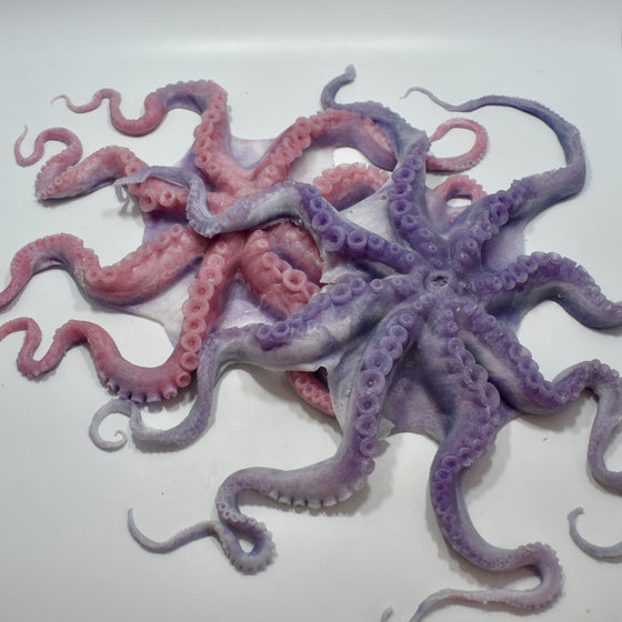 The Octopus