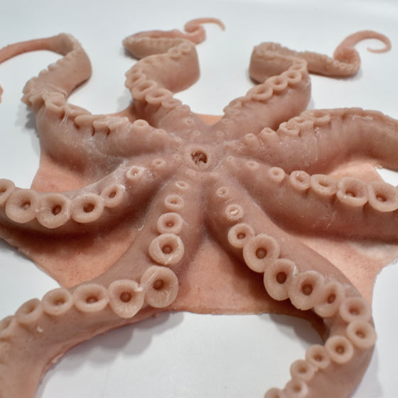 The Octopus