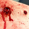 Bullet Wound Bondo Moulds Set 1
