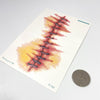 Temporary Tattoos