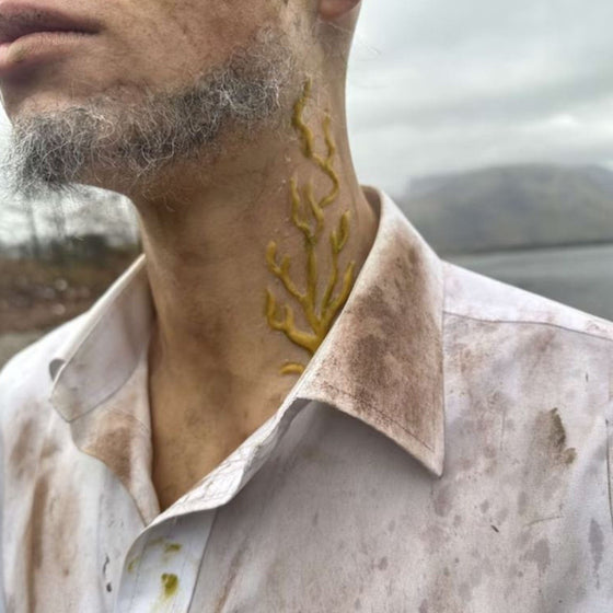 The Seaweed